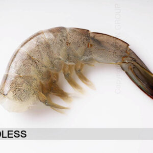 Frozen Raw Vannamei Shrimp Headless (Vn-RHLSO)