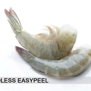 Frozen Raw Vannamei Shrimp Headless Easy Peel